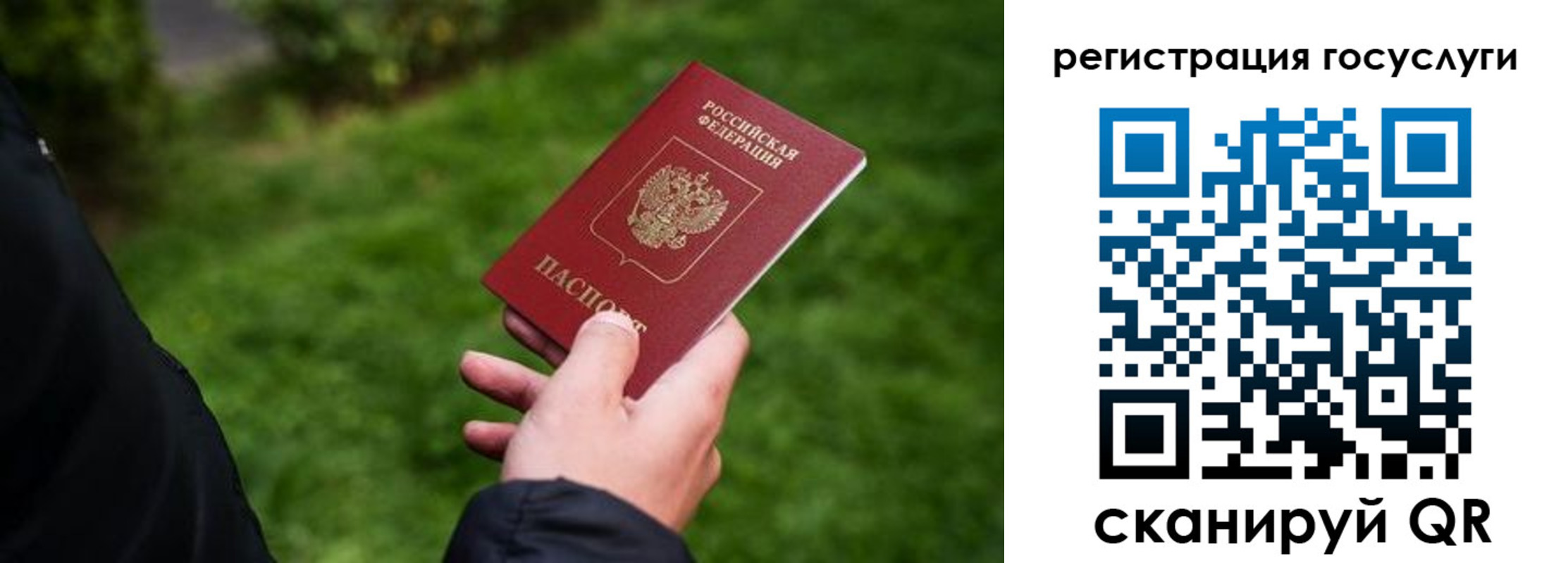 прописка в Ростове